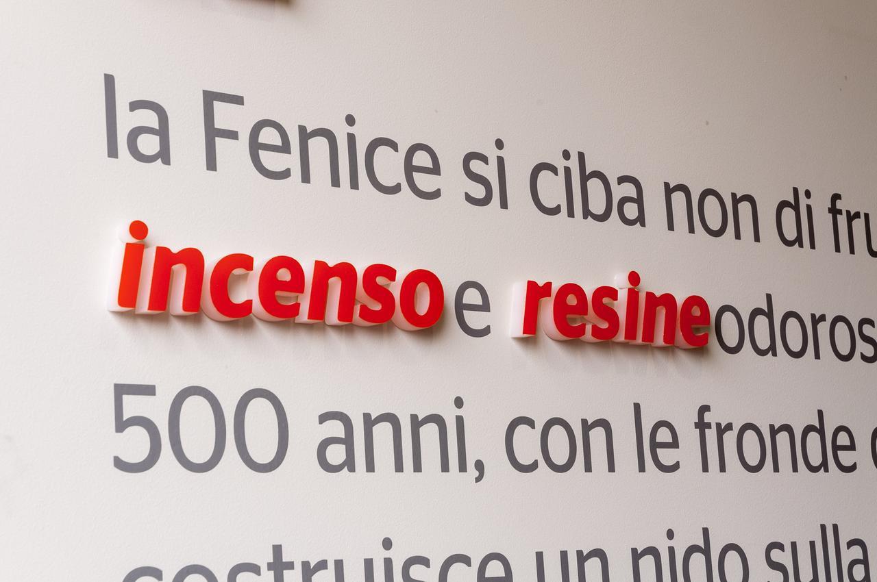 Villa Fenix Osio Sotto Εξωτερικό φωτογραφία